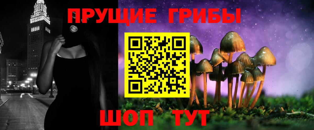 Псилоцибиновые грибы Psilocybe Мариинск